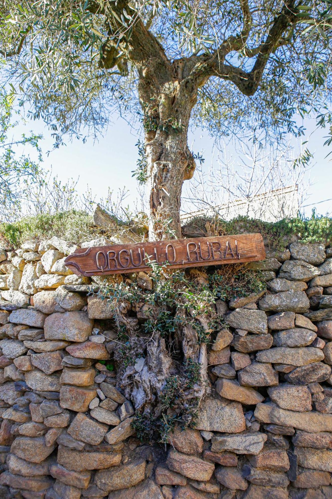 Casa Rural Therma Agreste Bermellar Bagian luar foto